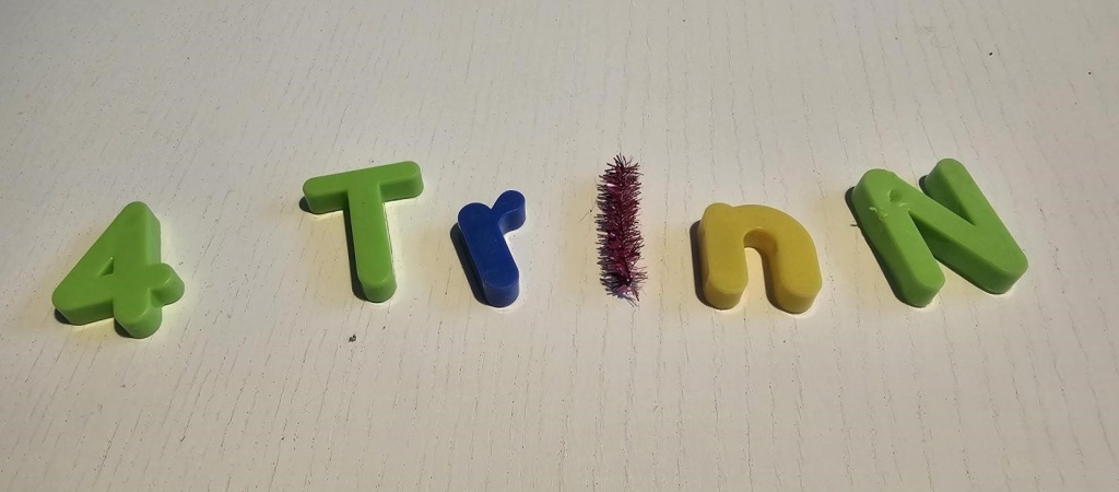 4 trinn og SFO