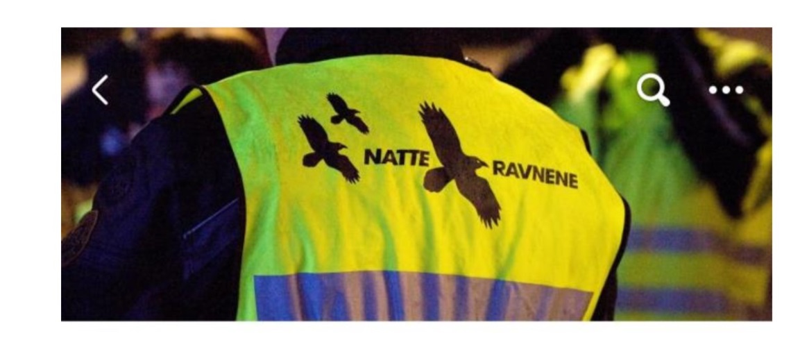 Refleksvest med natteravnlogo